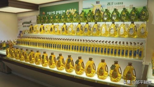 山东省外贸优品展销会自有品牌采购商到邹平参观访厂