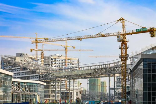 全力冲刺高质量决胜全年目标 工业港重大项目建设正酣
